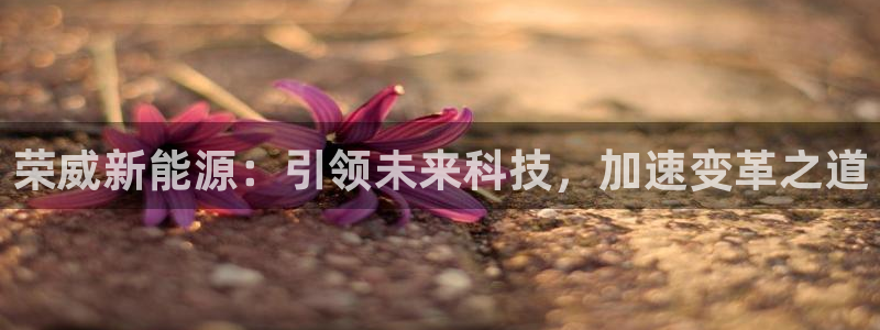 新宝GG的老板