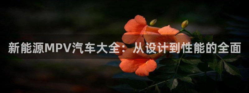 新宝GG登录③：新能源MPV汽车大全：从