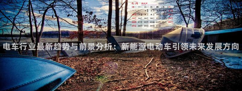 新宝gg注册 776317：电车行业最新
