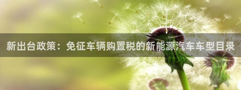 新宝gg挂机软件下载：新出台政策：免征车