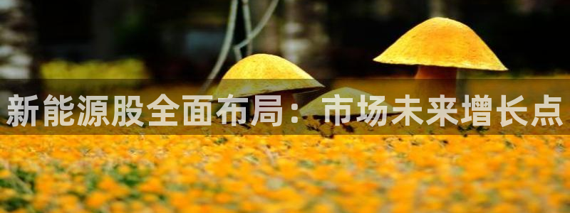新宝gg主管开