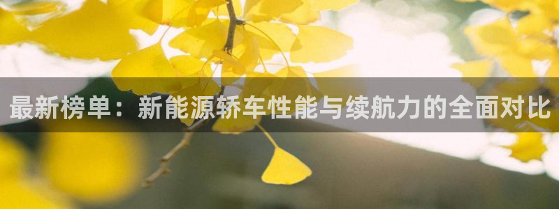 新宝gg反水：最新榜单：新能源轿车性能与