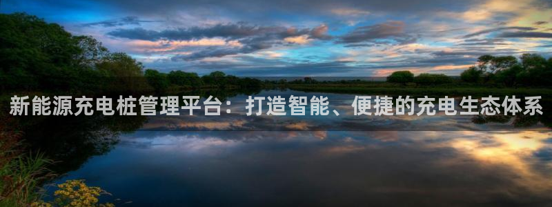 新宝gg—登录:新能源充电桩管理平台:打造智能、便捷的充电生