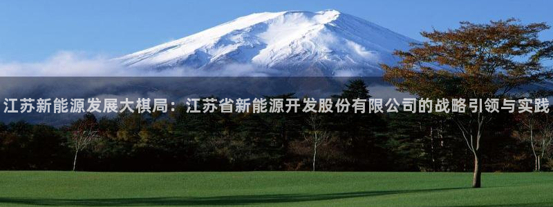 新宝GG官方域名:江苏新能源发展大棋局:江苏省新能源开发股份