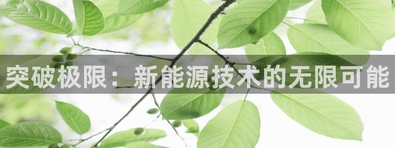 登录新宝GG:突破极限:新能源技术的无限可能