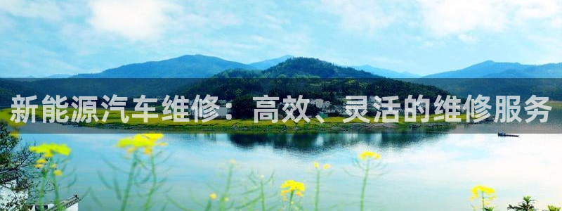 新宝gg正规：新能源汽车维修：高效、灵活