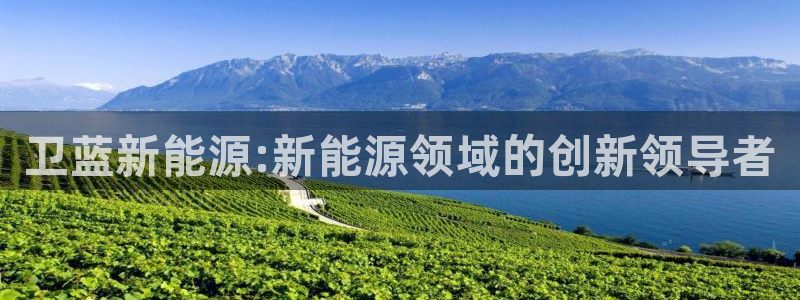 新宝gg创造奇迹平台：卫蓝新能源:新能源