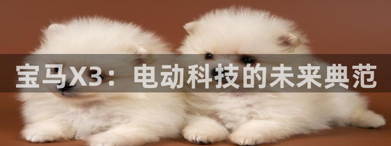 新宝gg反水:宝马X3:电动科技的未来典范