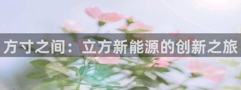 新宝gg客户端下载:方寸之间:立方新能源的创新之旅