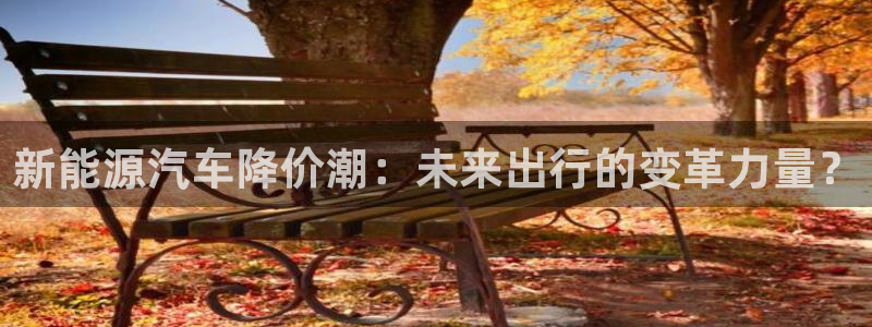 c新宝GG