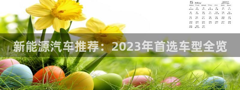 新宝奇迹GG:新能源汽车推荐:2023年首选车型全览