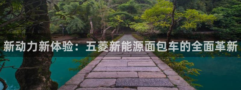 新宝gg推荐:新动力新体验:五菱新能源面包车的全面革新