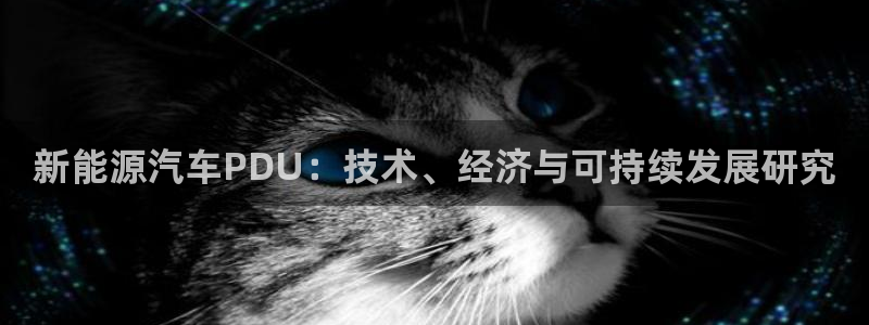 新宝gg合作