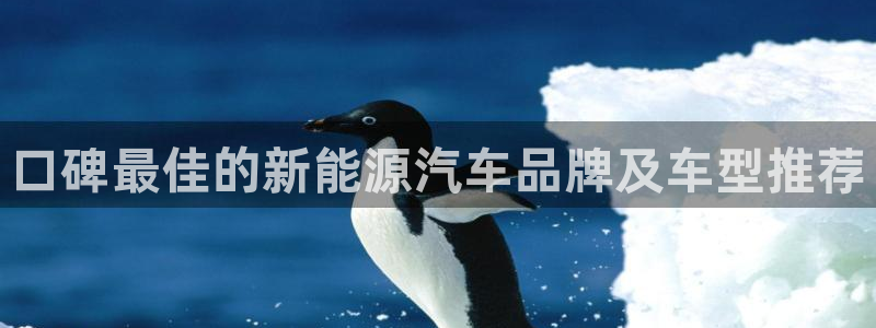 新宝gg网站:口碑最佳的新能源汽车品牌及车型推荐