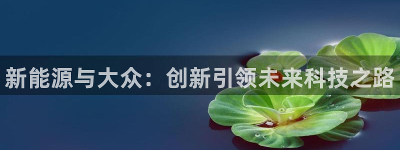 新宝gg-创业奇迹:新能源与大众:创新引领未来科技之路