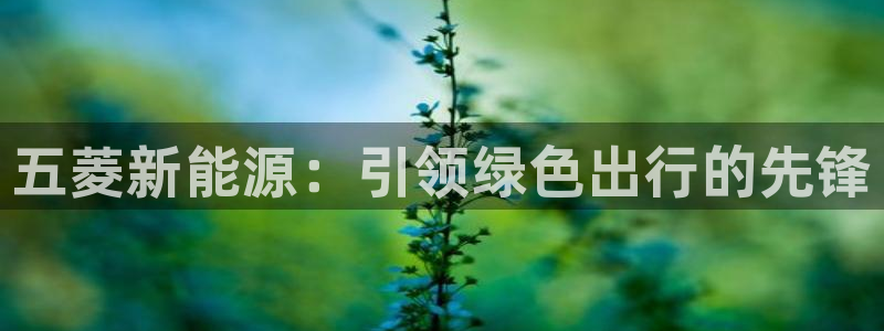 新宝GG娱：五菱新能源：引领绿色出行的先