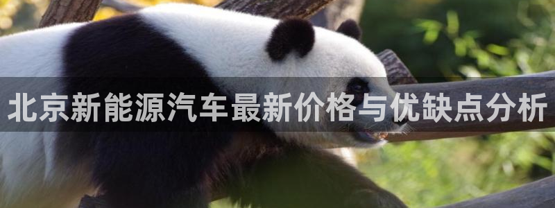 新宝 -gg登录:北京新能源汽车最新价格与优缺点分析
