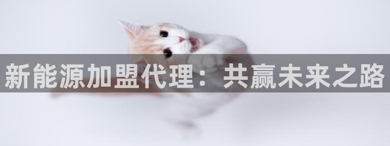 新宝gg 平台怎么样:新能源加盟代理:共赢未来之路