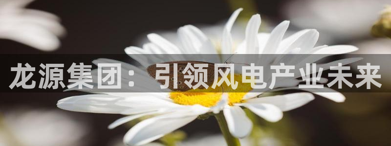 新宝gg测速登录:龙源集团:引领风电产业未来