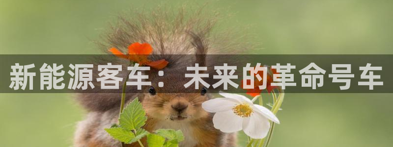 新宝gg跟新宝5:新能源客车:未来的革命号车