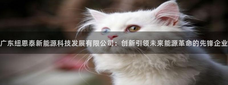 新宝GG挂机:广东纽恩泰新能源科技发展有限公司:创新引领未来