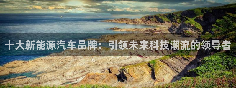 新宝GG啦78778:十大新能源汽车品牌:引领未来科技潮流的