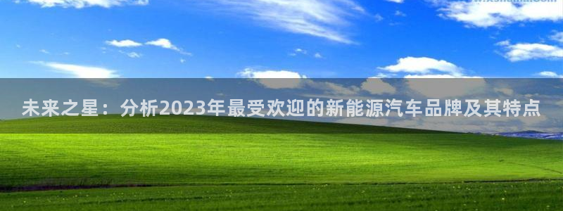 百度新宝gg:未来之星:分析2023年最受欢迎的新能源汽车品