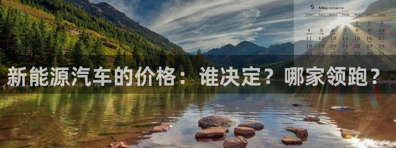 新宝gg最新章节:新能源汽车的价格:谁决定?哪家领跑?