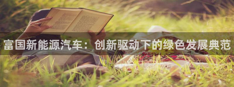 下载新宝gg:富国新能源汽车:创新驱动下的绿色发展典范