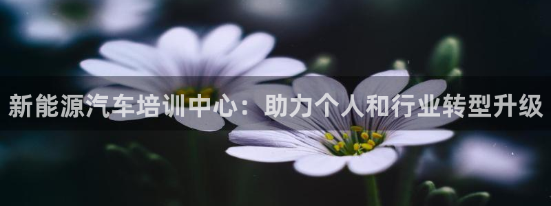 新宝GG—创造奇迹:新能源汽车培训中心:助力个人和行业转型升