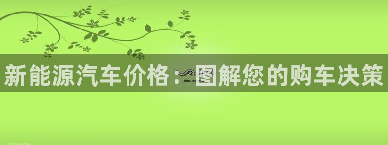 新宝gg测速登录:新能源汽车价格:图解您的购车决策