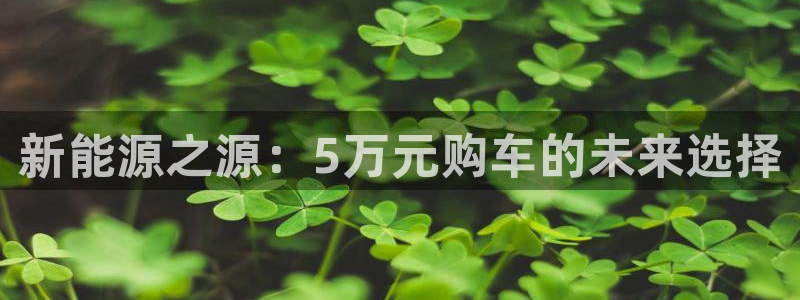 创造奇迹 新宝gg：新能源之源：5万元购