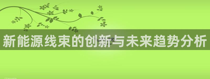 新宝gg平台反水：新能源线束的创新与未来