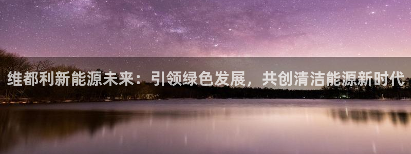 新宝gg-：维都利新能源未来：引领绿色发