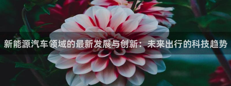 新宝gg官方主管：新能源汽车领域的最新发