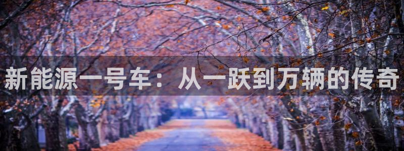 新宝gg违法