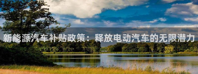 109新宝gg:新能源汽车补贴政策:释放电动汽车的无限潜力
