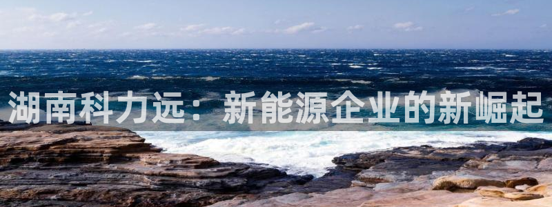 新宝gg黑平台:湖南科力远:新能源企业的新崛起