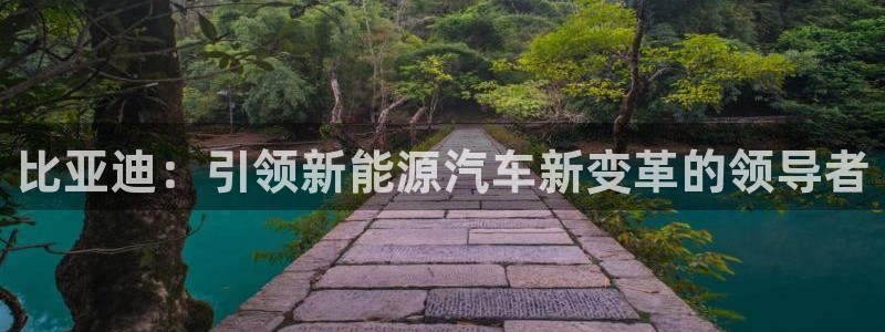 注册新宝gg：比亚迪：引领新能源汽车新变