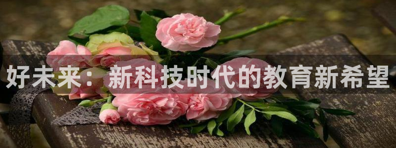 新宝时gg：好未来：新科技时代的教育新希