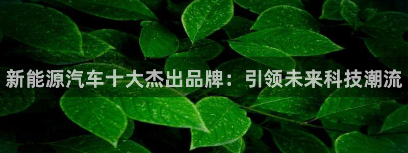 新宝gg真的能赚钱么：新能源汽车十大杰出