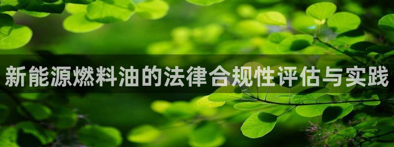 新宝GG创造奇：新能源燃料油的法律合规性