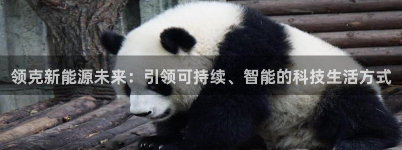 新宝gg创造奇迹 新宝gg:领克新能源未来:引领可持续、智能