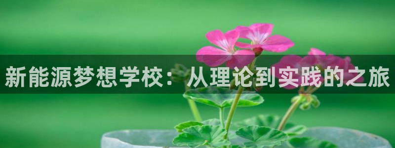 新宝gg 奇迹