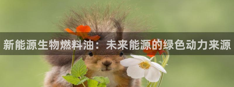 【新宝gg】:新能源生物燃料油:未来能源的绿色动力来源