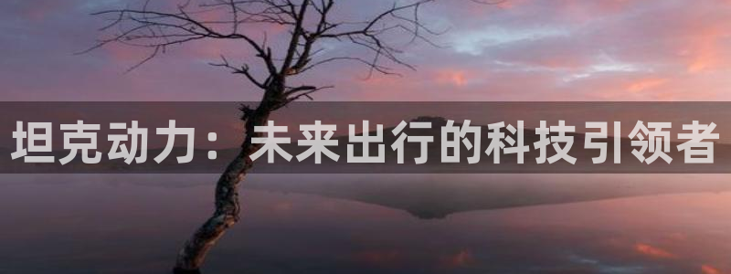 新宝GG反点:坦克动力:未来出行的科技引领者
