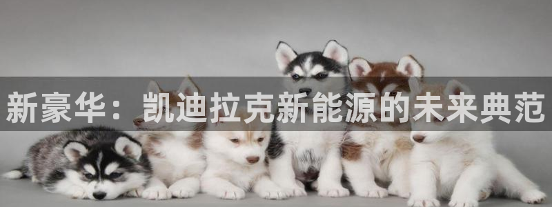 新宝GG玩家:新豪华:凯迪拉克新能源的未来典范