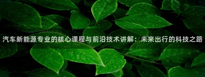 新宝gg_