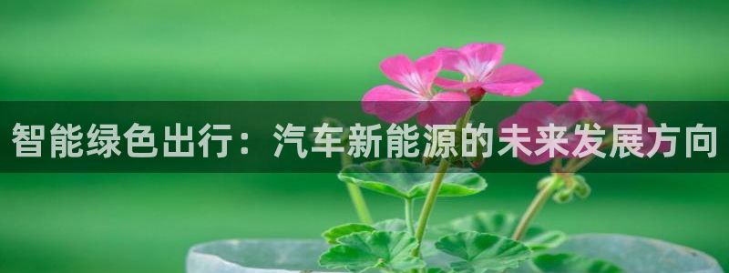 新宝gg 登录页面:智能绿色出行:汽车新能源的未来发展方向