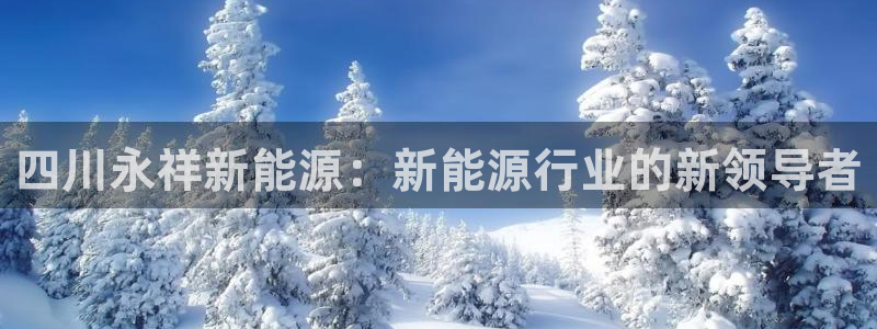 新宝gg怎样:四川永祥新能源:新能源行业的新领导者